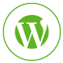 Custom Wordpress Themes
